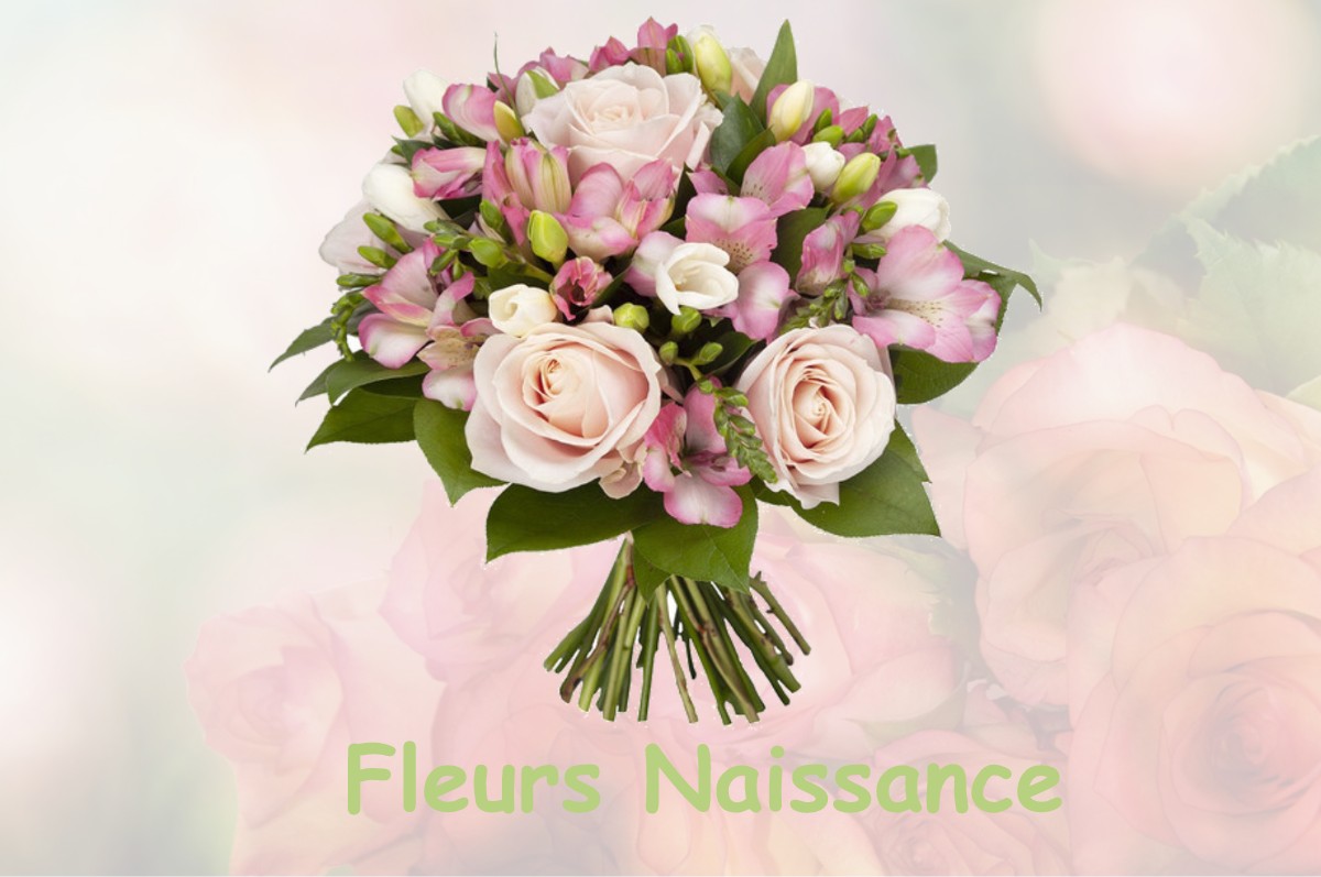 fleurs naissance MORVILLE-EN-BEAUCE