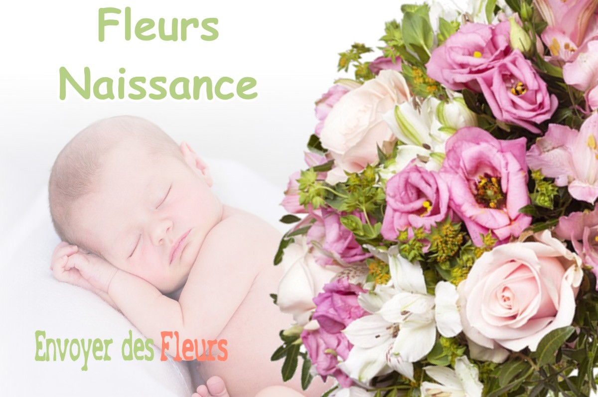 lIVRAISON FLEURS NAISSANCE à MORVILLE-EN-BEAUCE